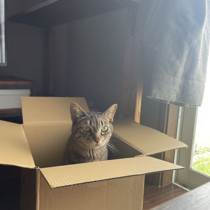 ぼくのおうち