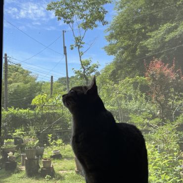 雨上がりの窓辺