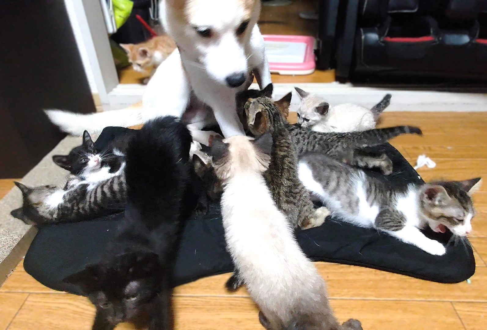 みんなもう大丈夫