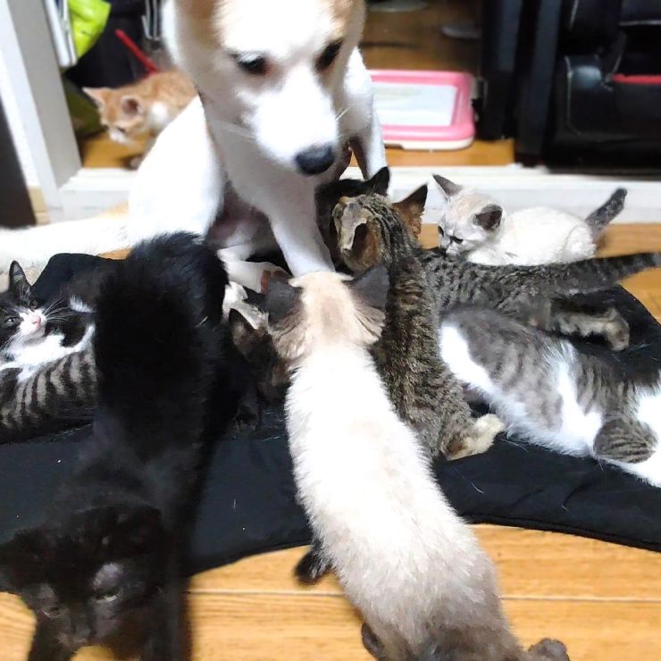みんなもう大丈夫