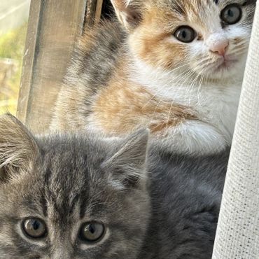 ここは何処？ママはどこ？