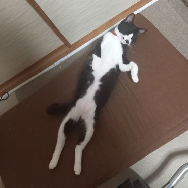 安全な場所でリラックス