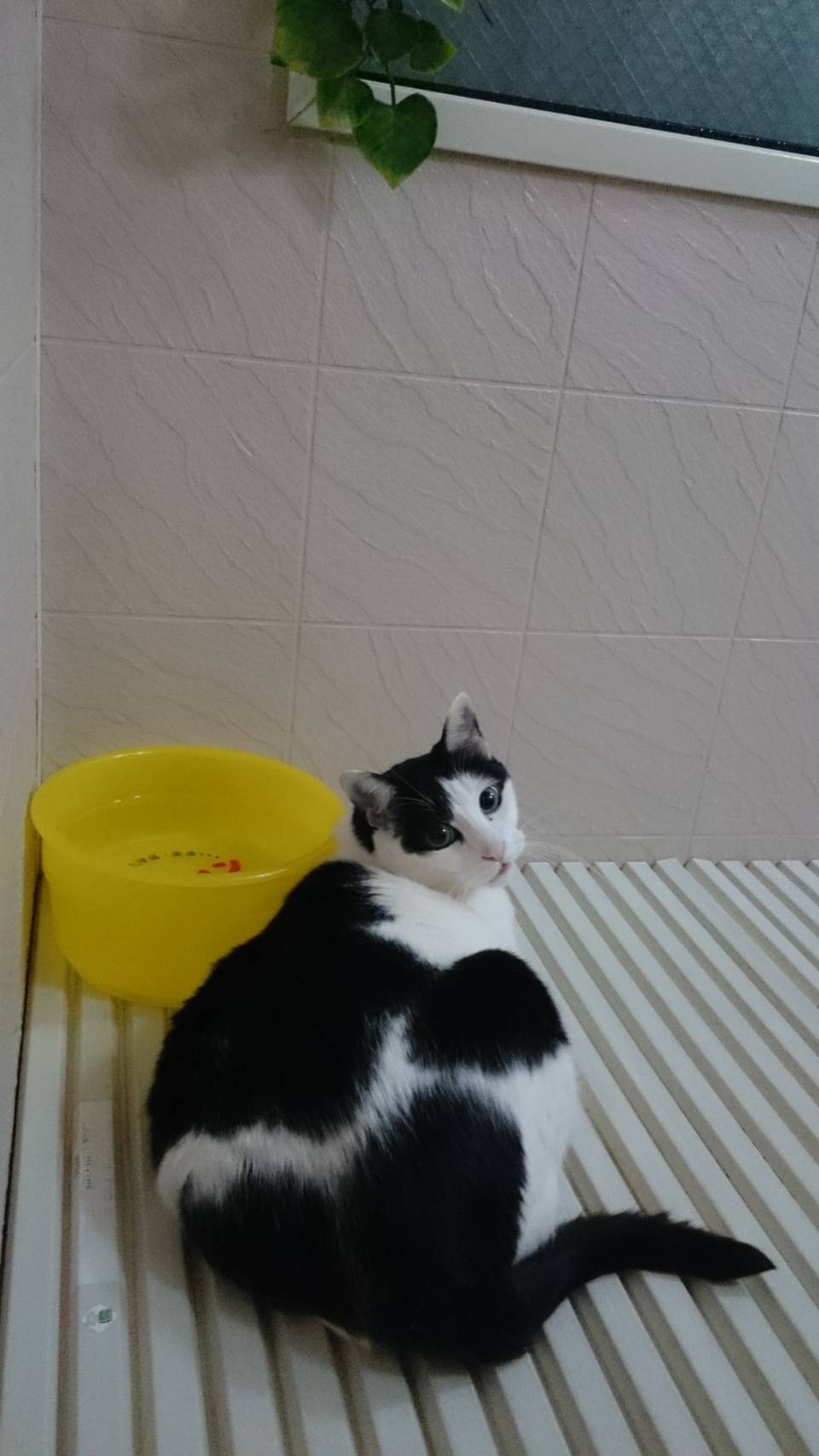 起き上がれなかった子が人一倍大きく成長しました。
