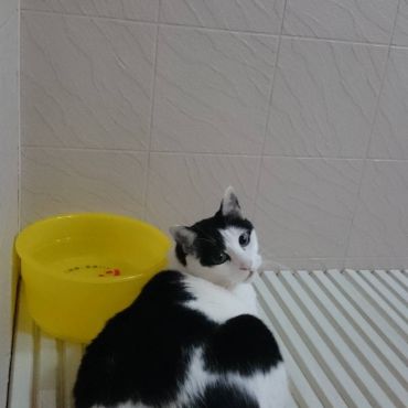 起き上がれなかった子が人一倍大きく成長しました。
