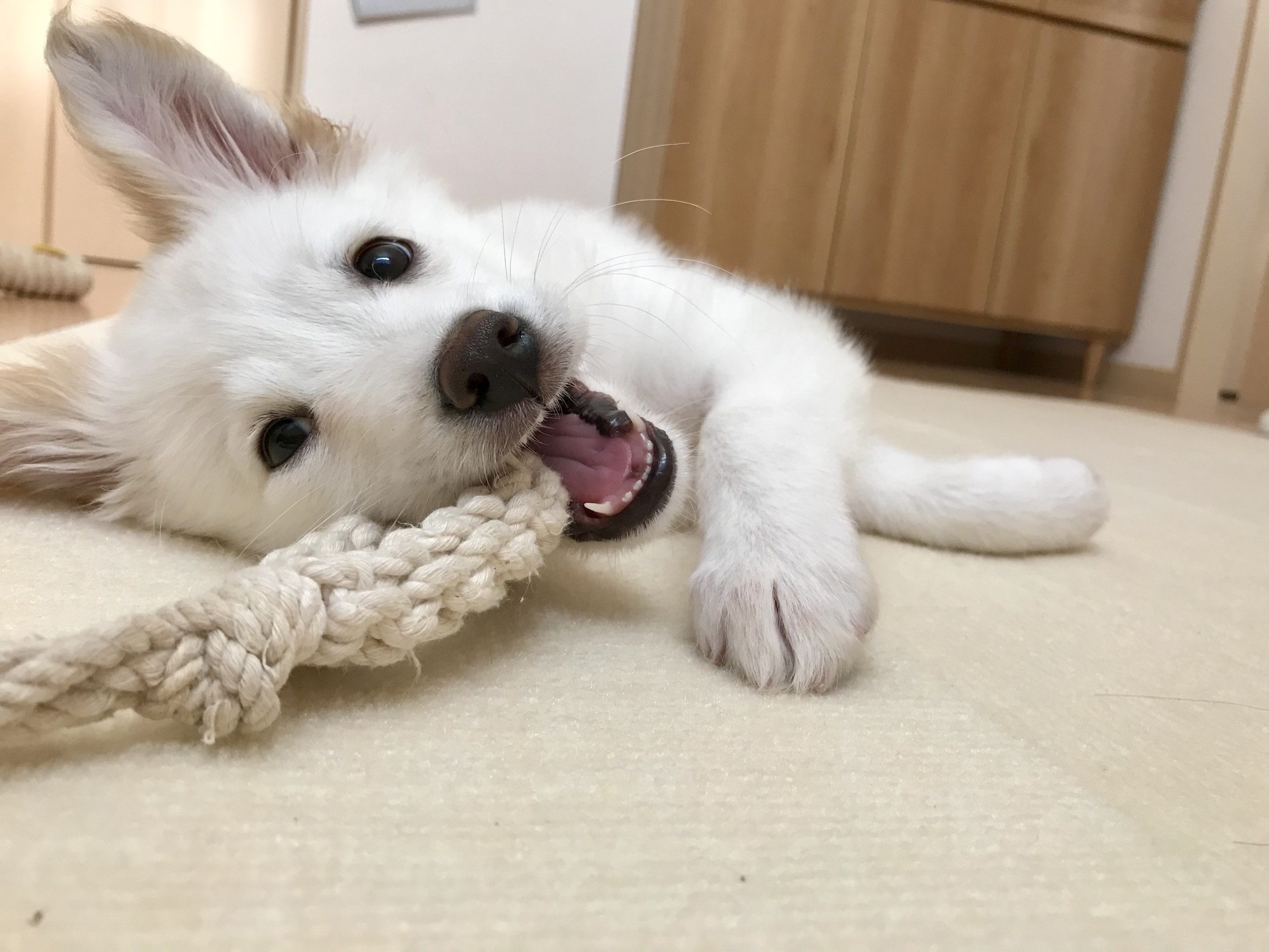 あなたこんなに良い顔するのね！