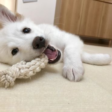 あなたこんなに良い顔するのね！