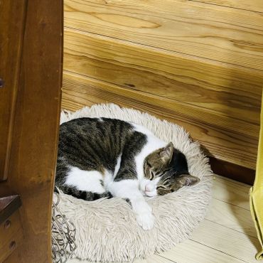 やっと家族だ！