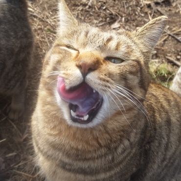 あ～美味しかった