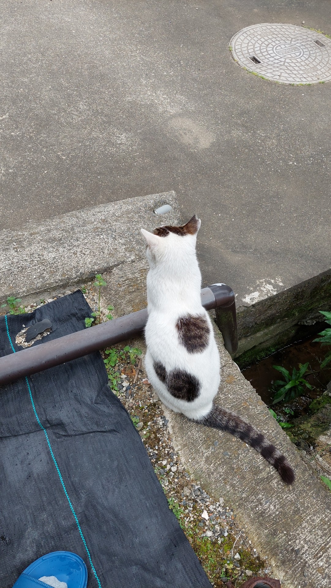 誰かいないかなぁ～
