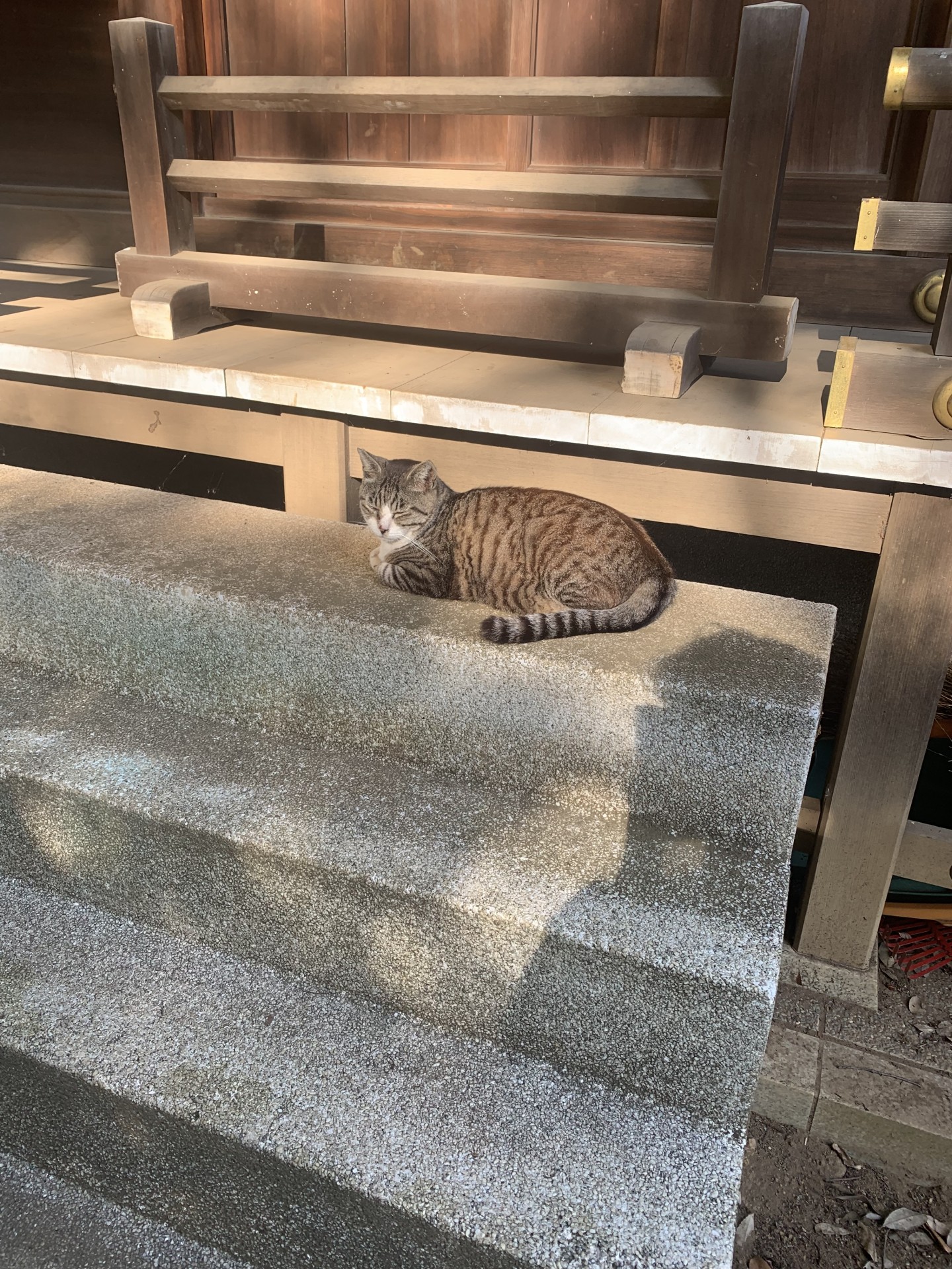 穏やかな夕暮れ