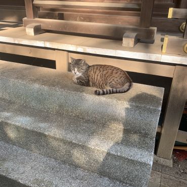 穏やかな夕暮れ