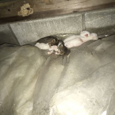 倉庫に赤ちゃんが