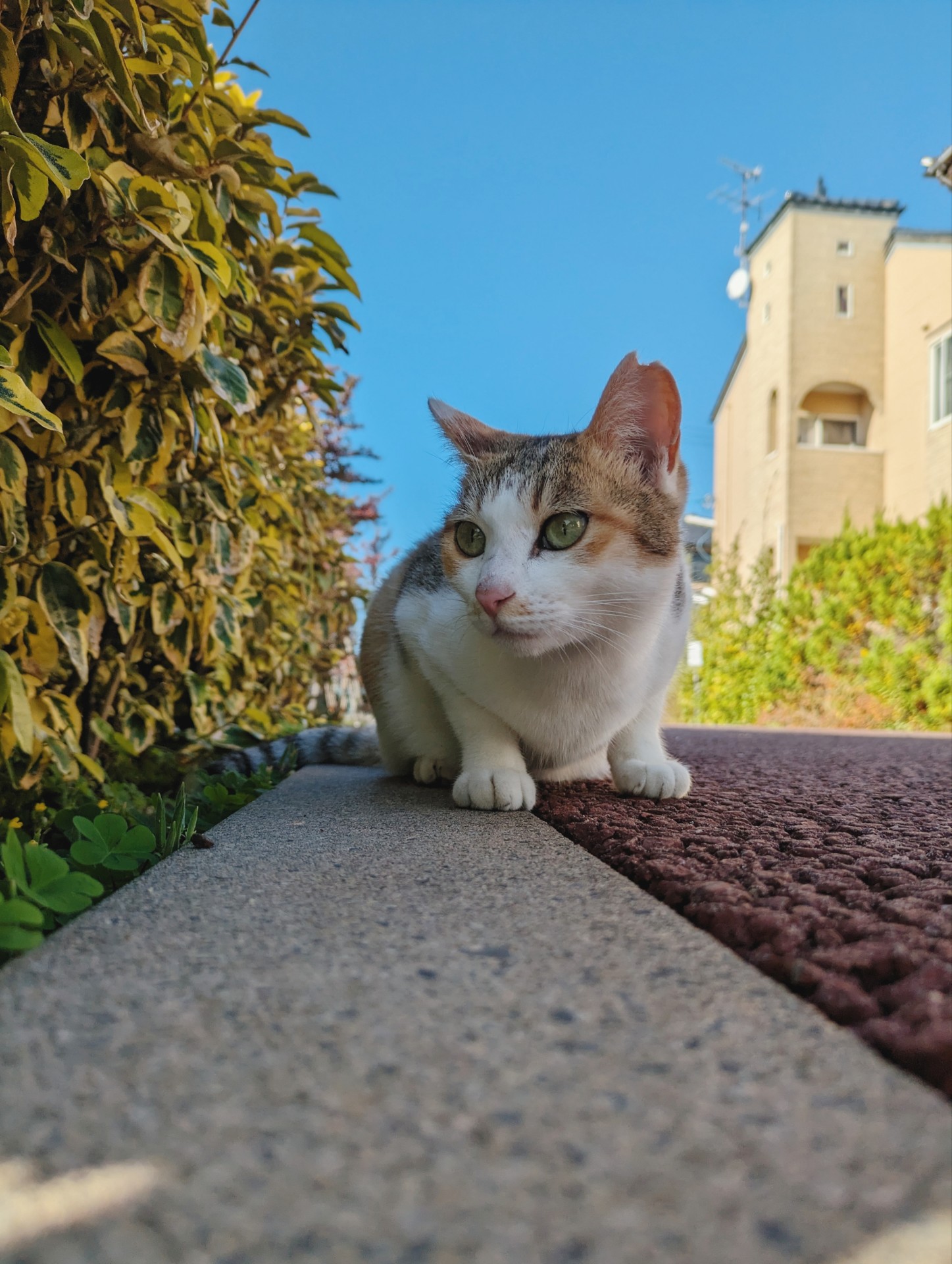 目線の先には