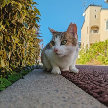 目線の先には