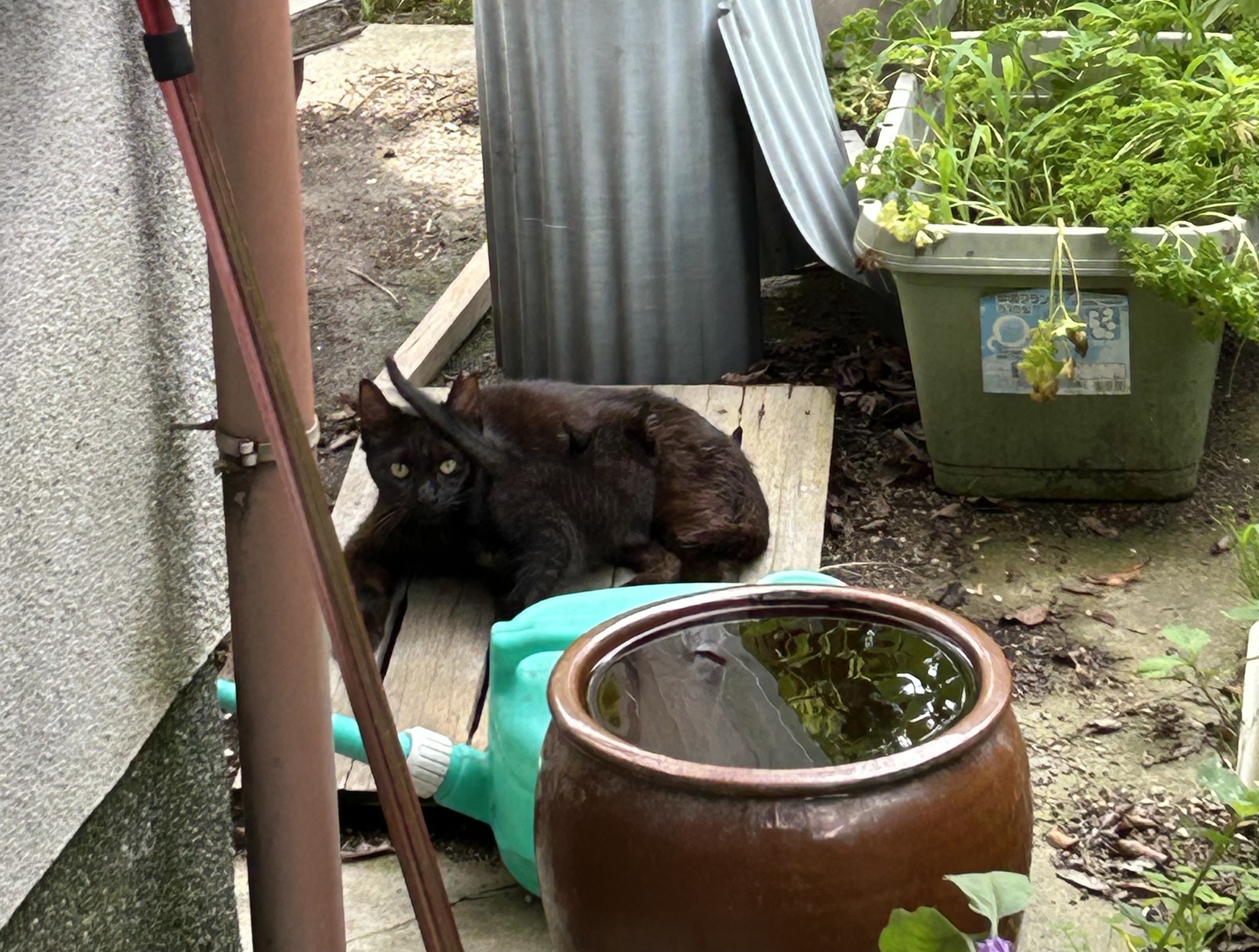 親子の再会