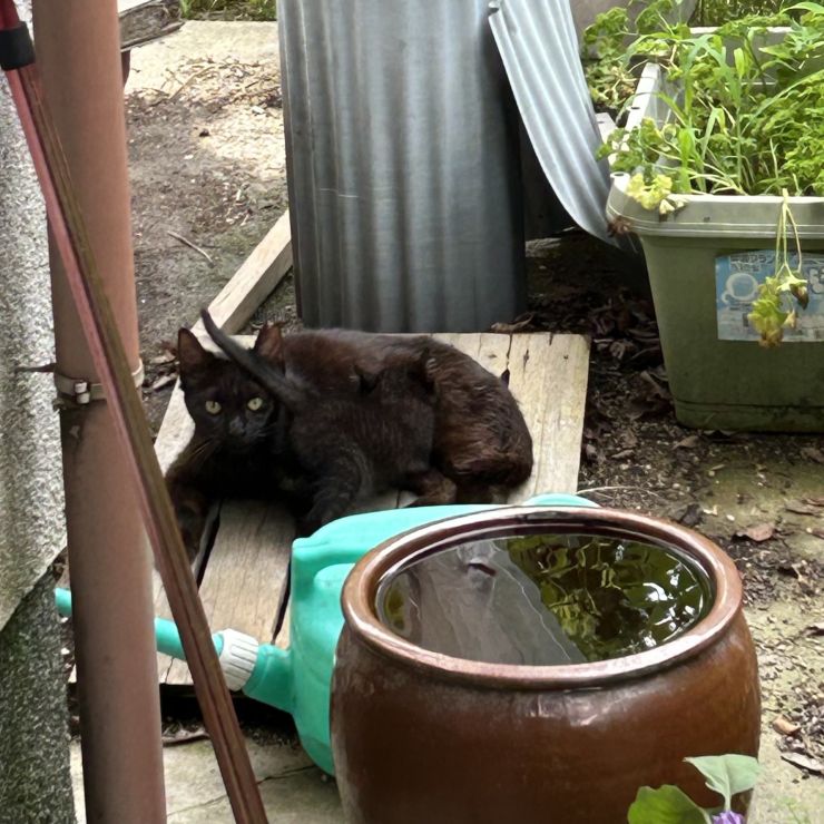 親子の再会