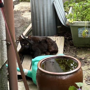 親子の再会
