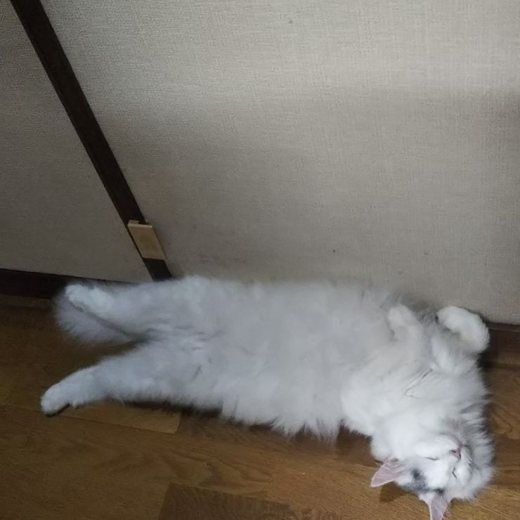 リラックスを極める
