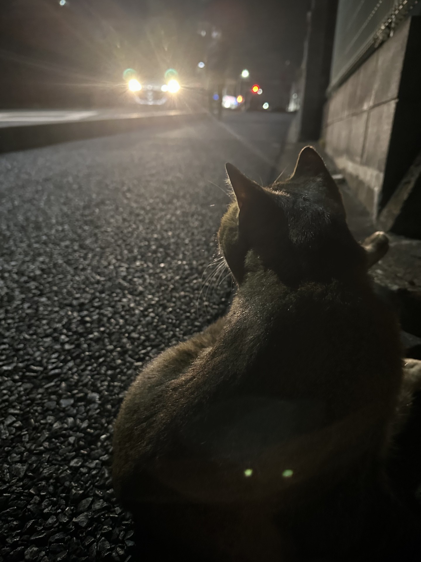 命九つ目は四つ