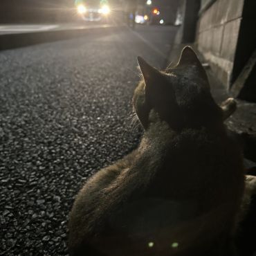 命九つ目は四つ