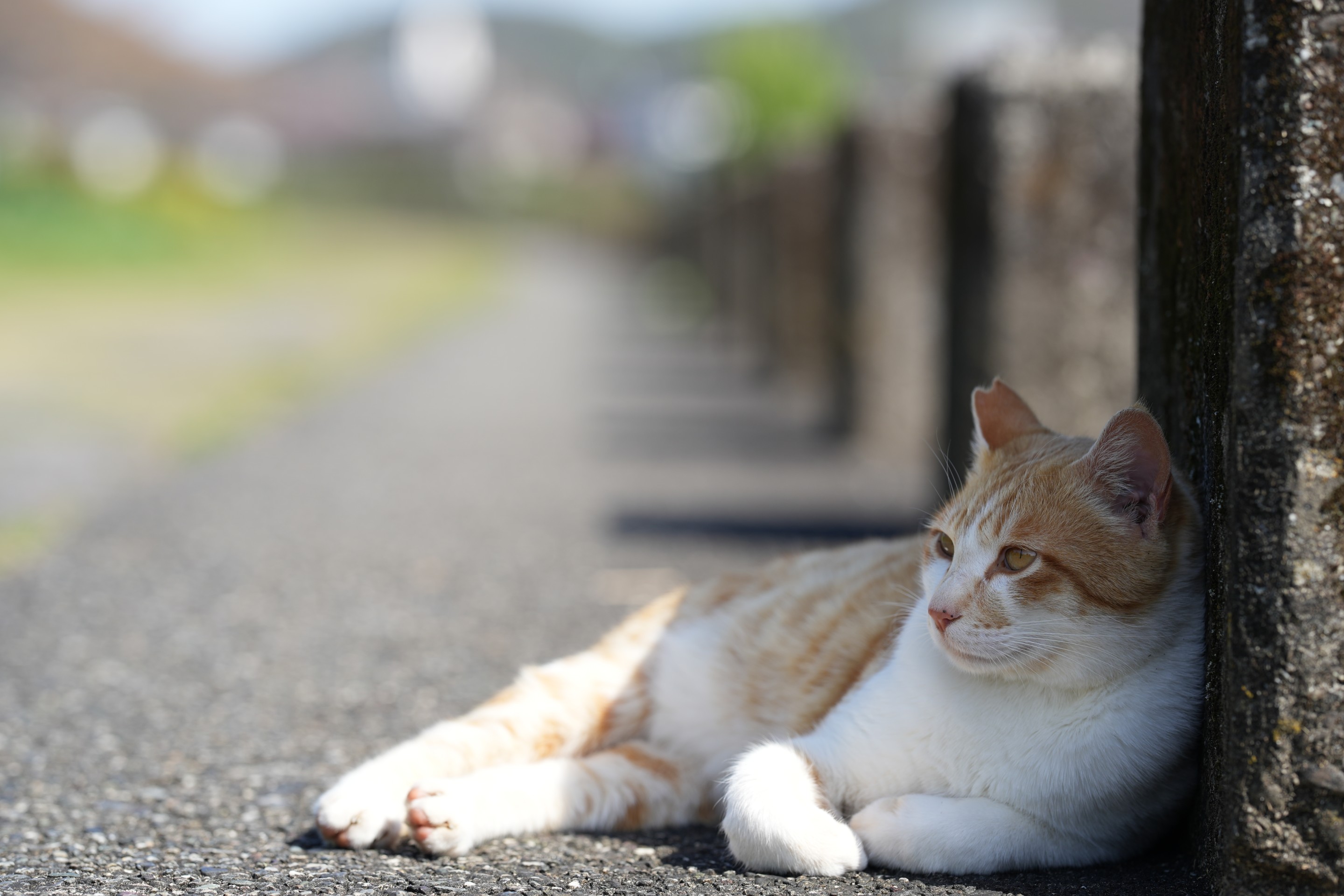 のんびりする時間