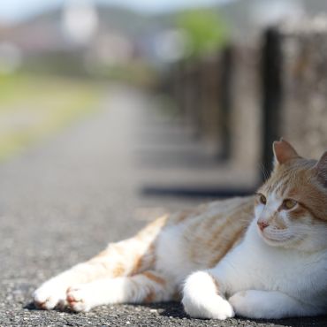 のんびりする時間