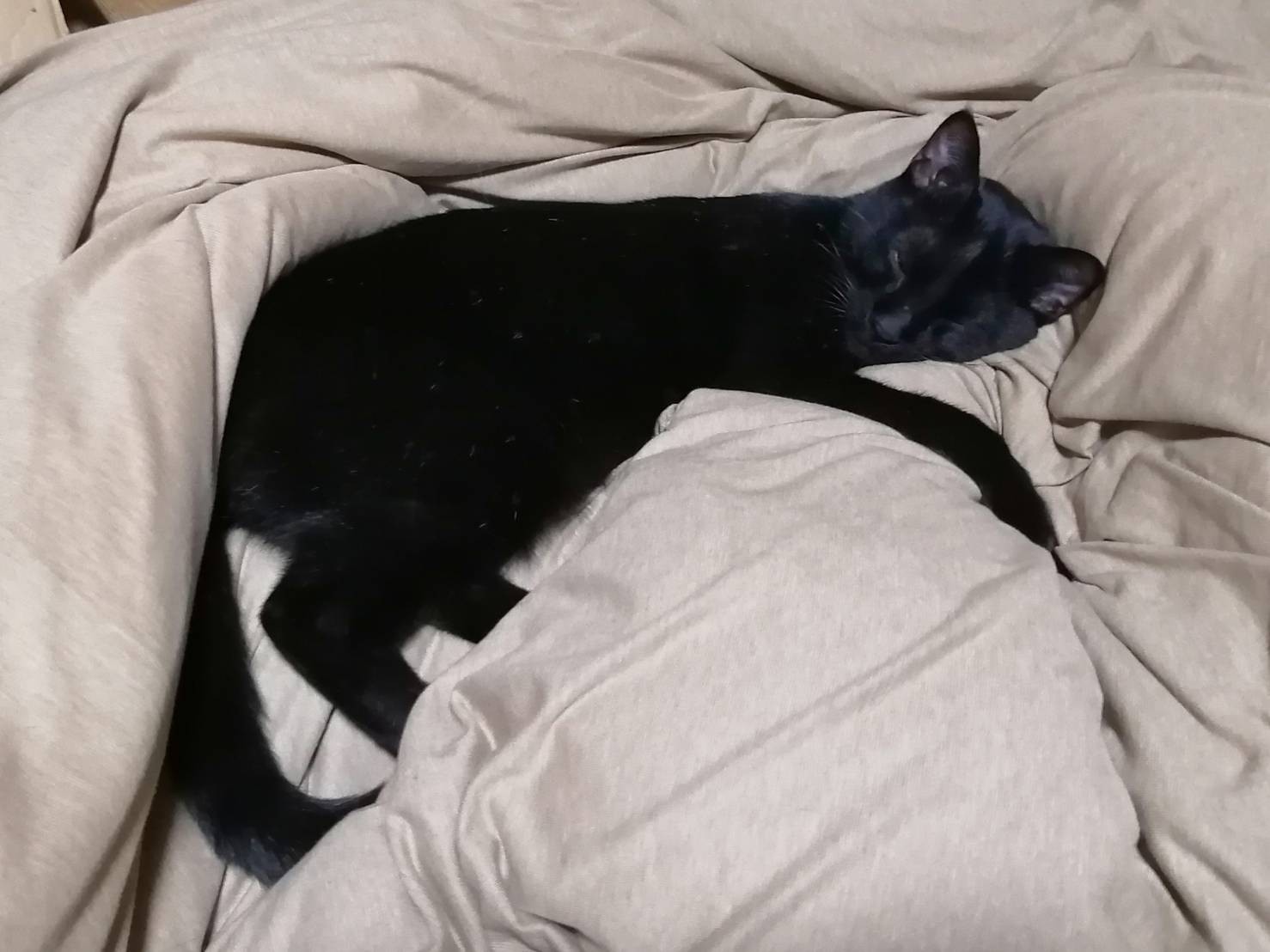 寒い日に、暖かい布団で眠れる幸せ