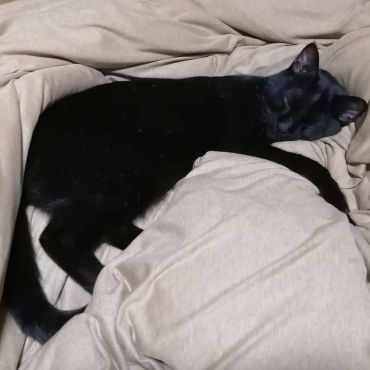 寒い日に、暖かい布団で眠れる幸せ