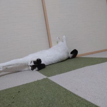 なが～い