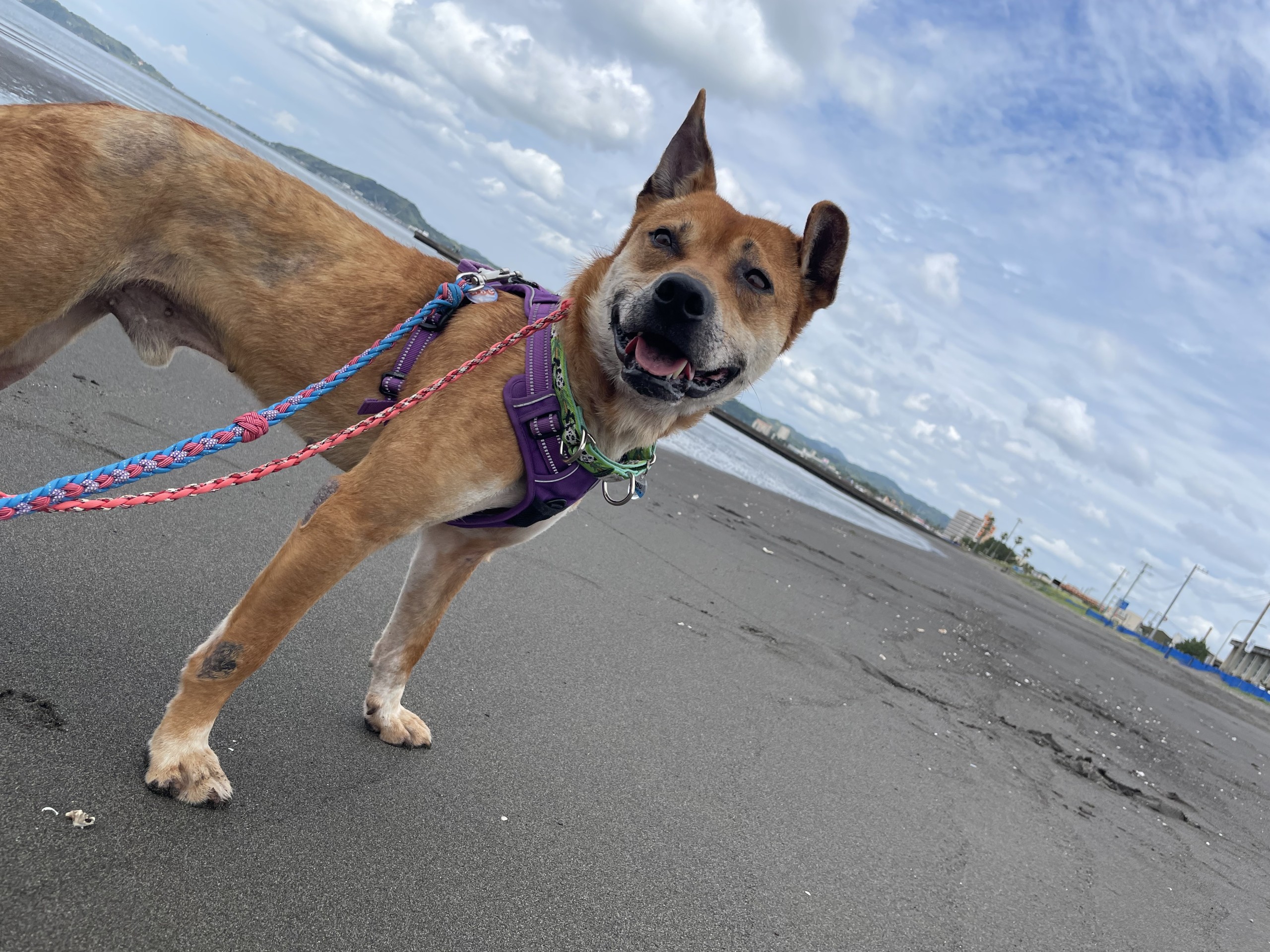 はじめての海