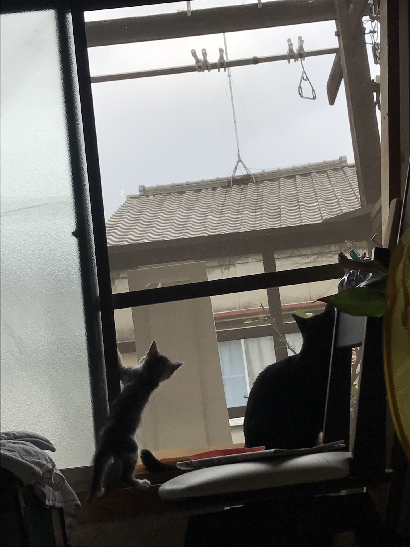 妹を受け入れた日