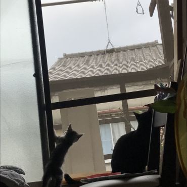 妹を受け入れた日