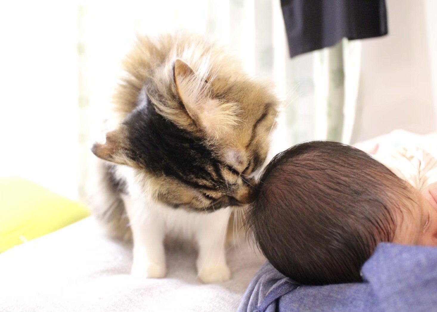 う〜ん　いいにおい！