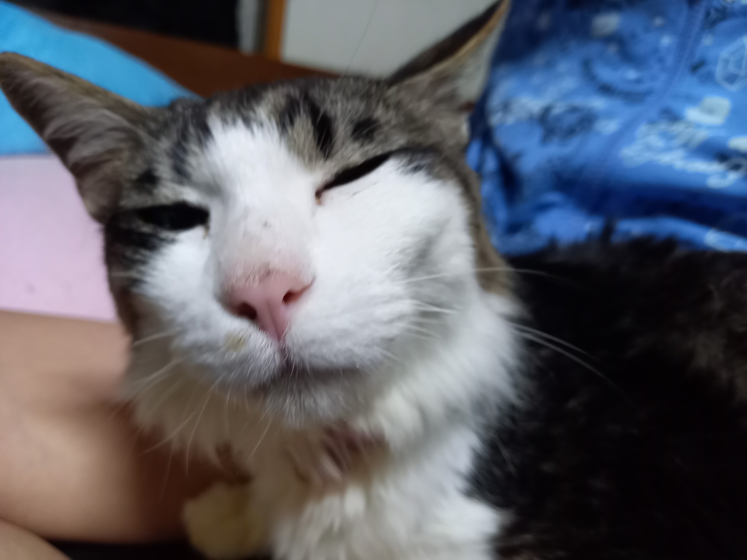 元気になりました