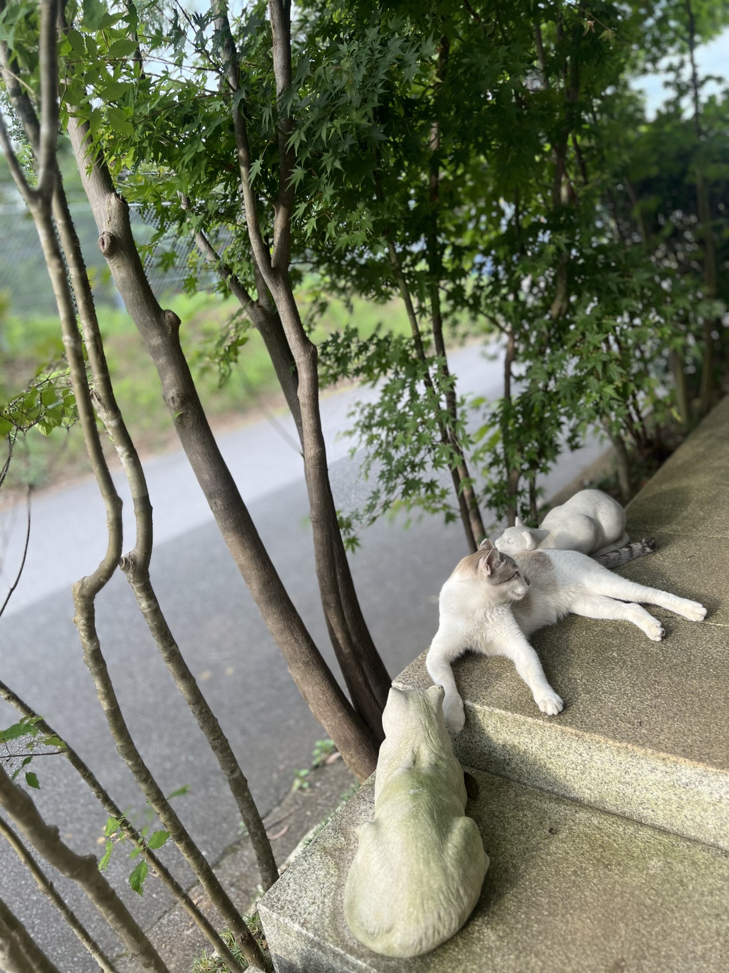 お気に入りの場所みつけた
