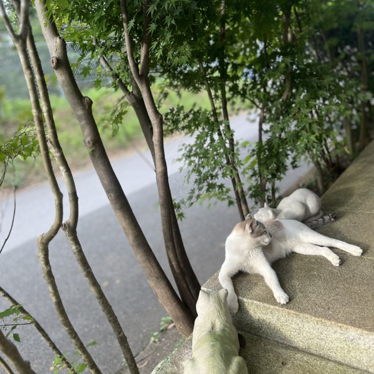 お気に入りの場所みつけた