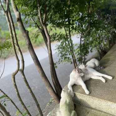 お気に入りの場所みつけた