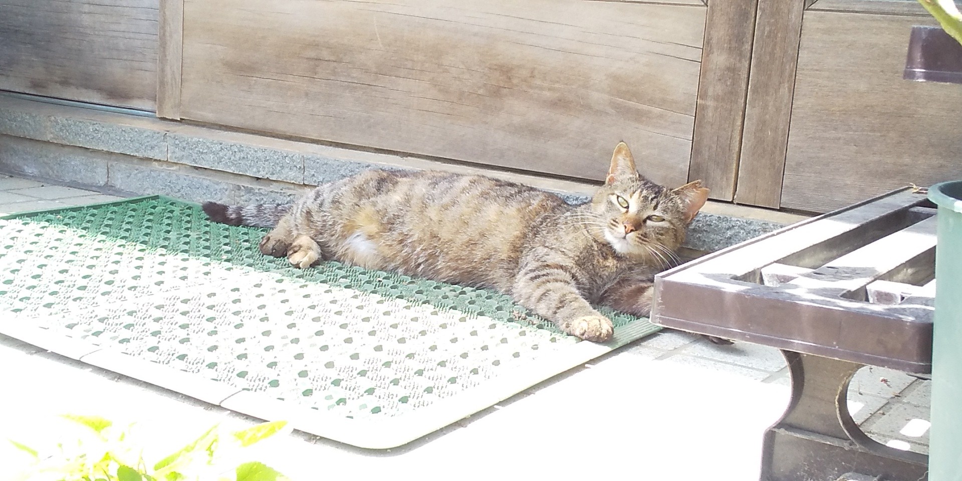 ３年後のお母さん