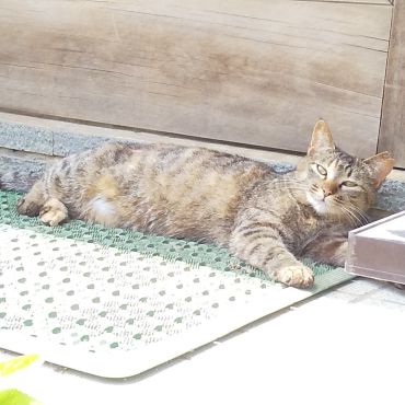 ３年後のお母さん