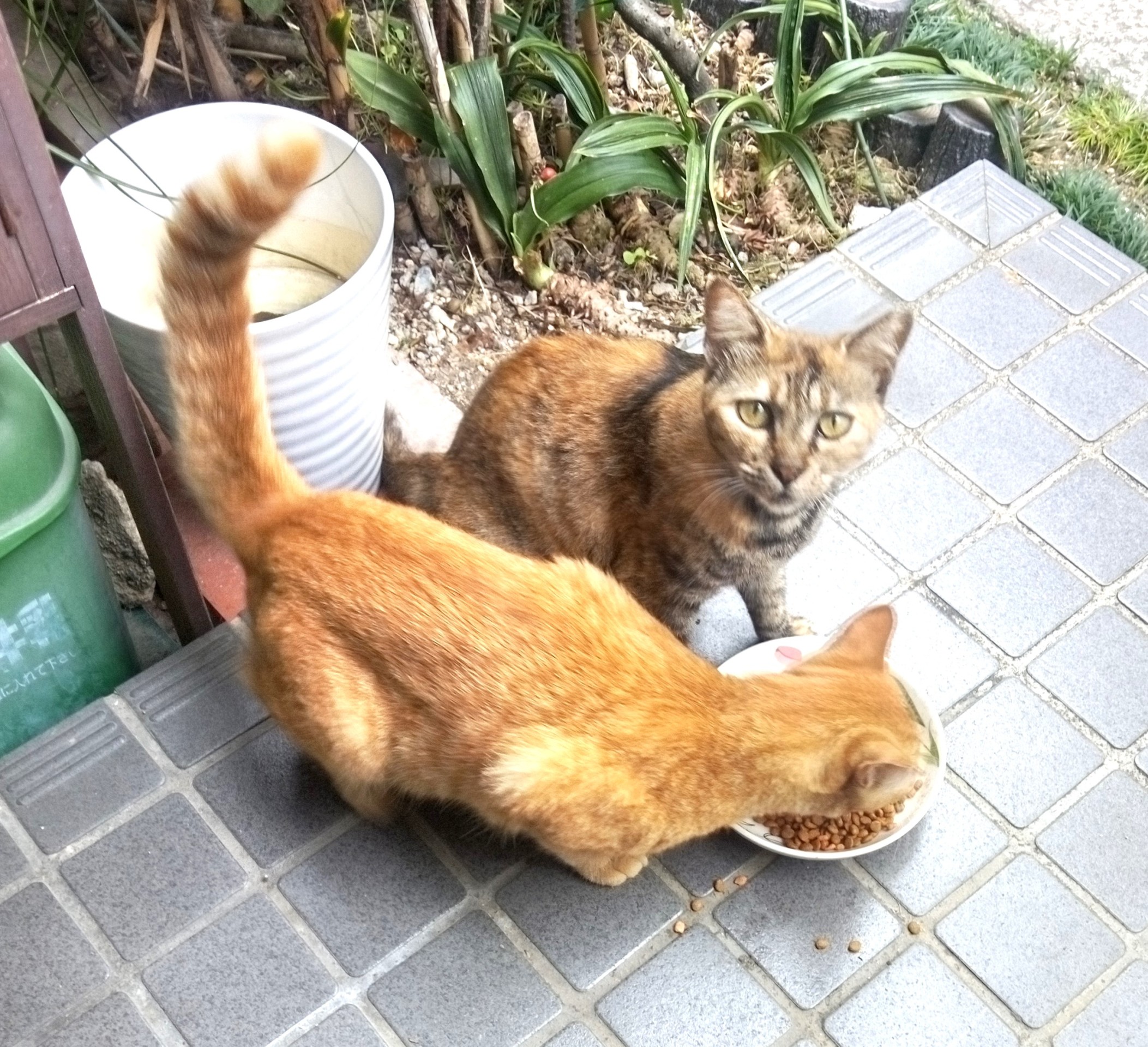 親子です！