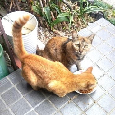 親子です！