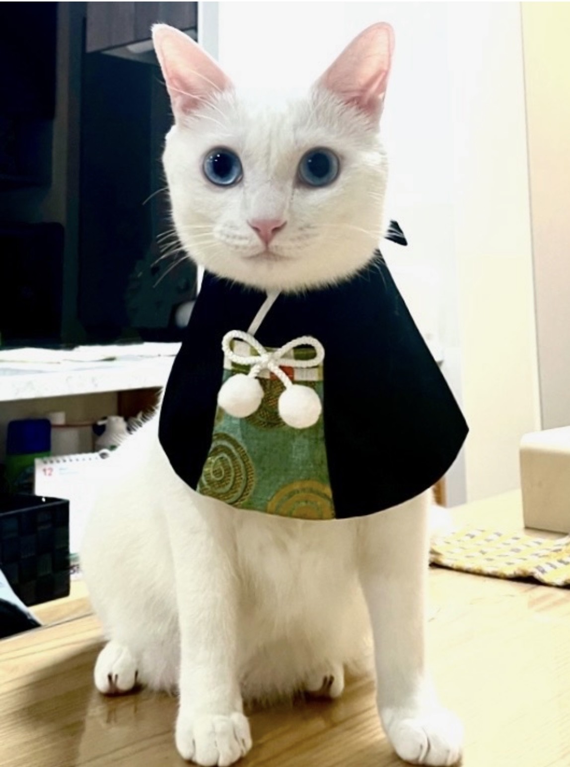 新年