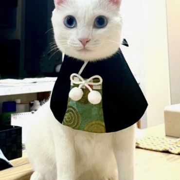 新年