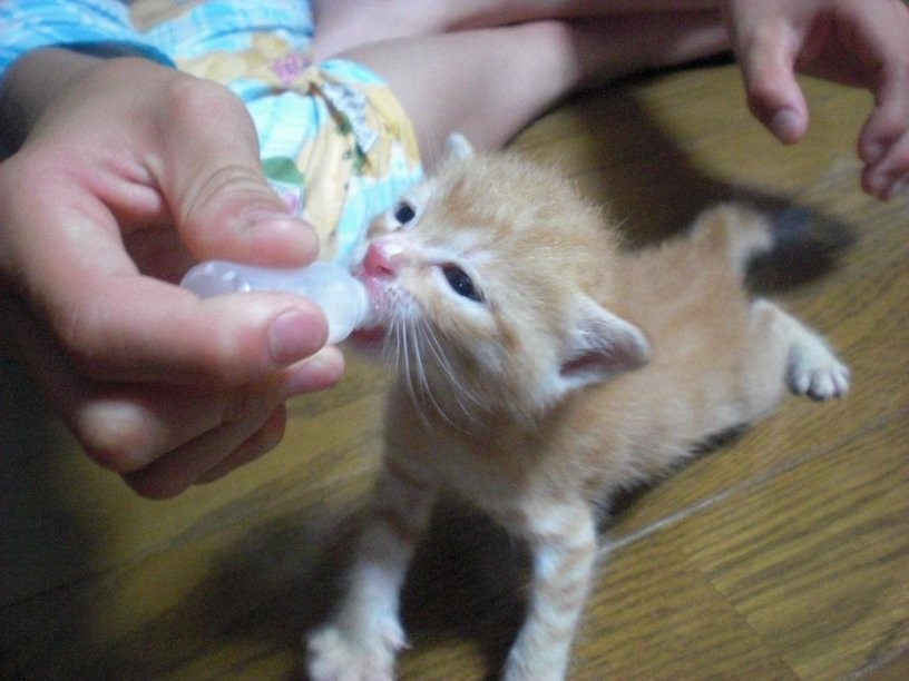 生きるのに必死