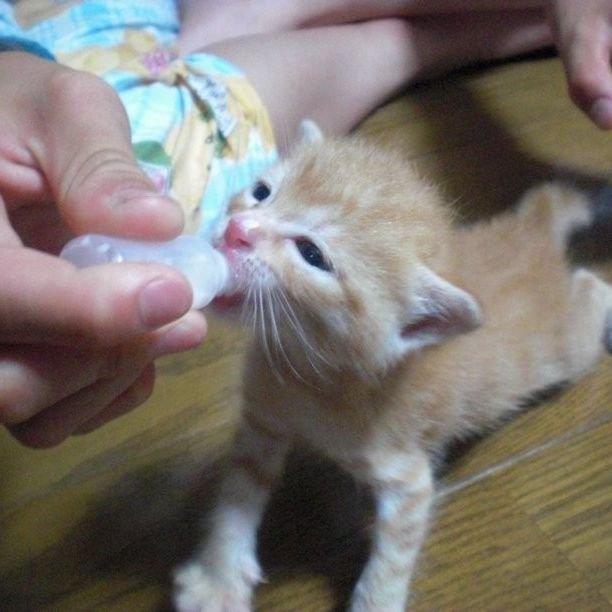 生きるのに必死