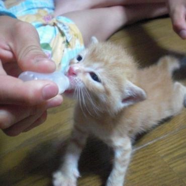 生きるのに必死