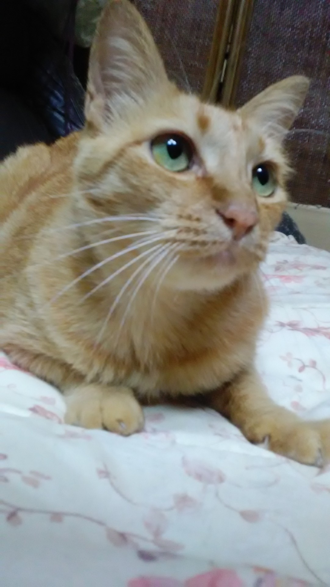 顔を上げて