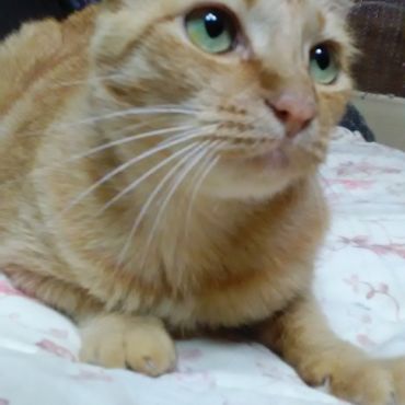 顔を上げて