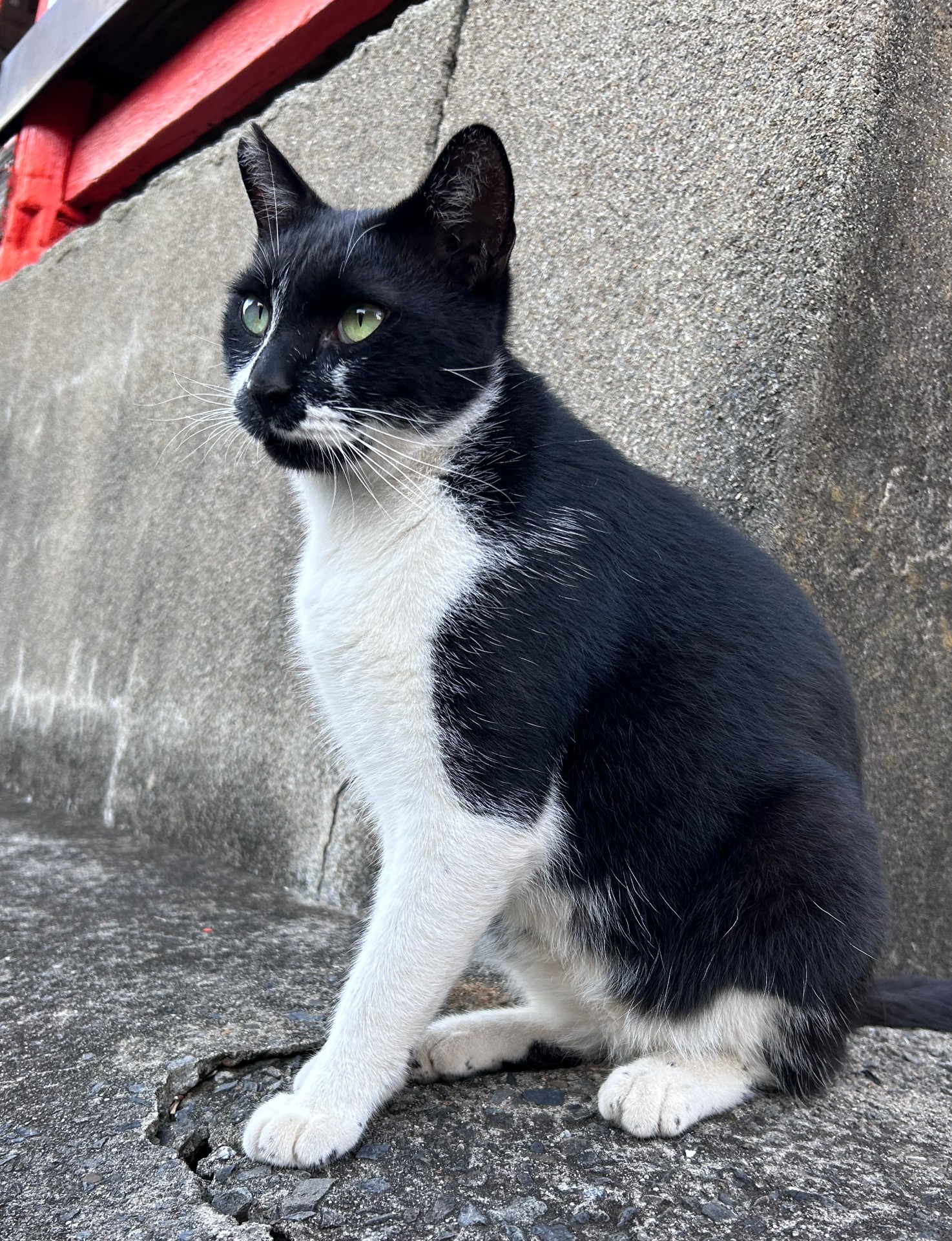 見つめる先には