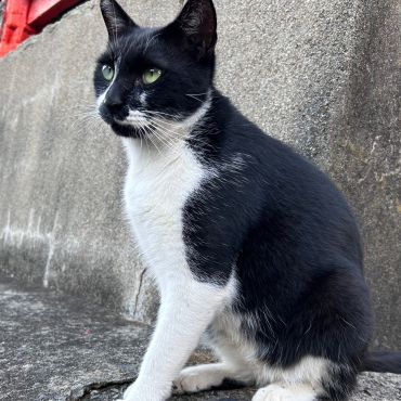 見つめる先には
